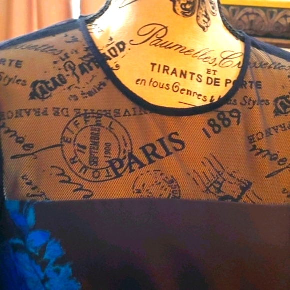 Floral, Sheer, Bell Sleeveless, Dress - Picture 13 of 13